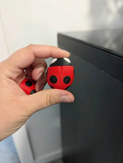 https://makerworld.bblmw.com/makerworld/model/1555287/1634033/ratings/79e9b420-5945-11f0-84cc-3d38e0aea631.jpg