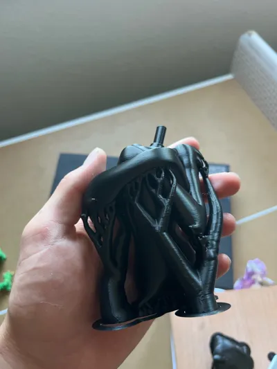 https://makerworld.bblmw.com/makerworld/model/1556219/1635083/ratings/d1058930-55c3-11f0-89f9-a3127d2e8361.jpg