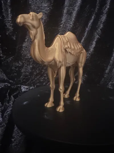 https://makerworld.bblmw.com/makerworld/model/1557384/1636433/ratings/e2b07520-8631-11f0-9f38-0d7d5b75eafc.jpg