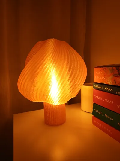 https://makerworld.bblmw.com/makerworld/model/1557763/1636876/ratings/ab21ea70-b369-11f0-9fec-a7561b515742.jpg