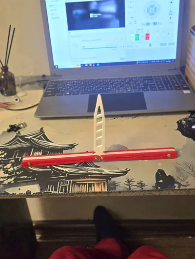 https://makerworld.bblmw.com/makerworld/model/155832/170614/ratings/a57d3230-a3bc-11f0-88c4-cb04c7b45c0e.jpg