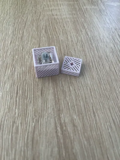 https://makerworld.bblmw.com/makerworld/model/1558476/1637628/ratings/ce92d810-73aa-11f0-a44d-a1377a0da3db.jpg