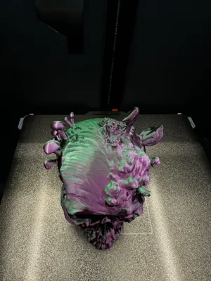 https://makerworld.bblmw.com/makerworld/model/1559716/1639024/ratings/2025-07-13_3370a92939a778.jpeg