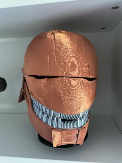 https://makerworld.bblmw.com/makerworld/model/1562221/1666347/ratings/989cb6b0-ba07-11f0-ab4e-89dd45e6d6a7.jpg