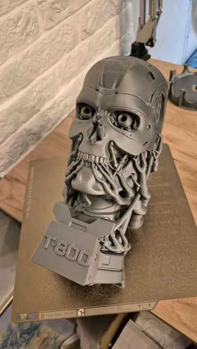 https://makerworld.bblmw.com/makerworld/model/1564517/1644547/ratings/6f870c50-e6a1-11f0-a170-f1cd683f8229.jpg