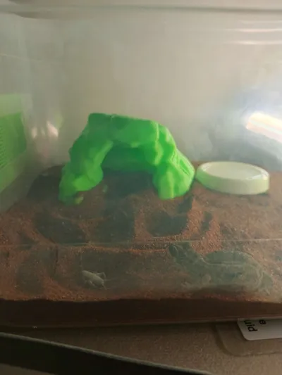 https://makerworld.bblmw.com/makerworld/model/1564856/1644945/ratings/ac6583d0-d851-11f0-880f-435b972cf728.jpg