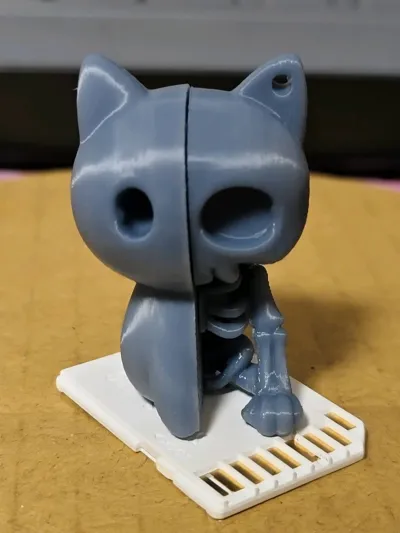 https://makerworld.bblmw.com/makerworld/model/1566131/1646488/ratings/065d33b0-76cd-11f0-b159-ab9b092fbcb4.jpg