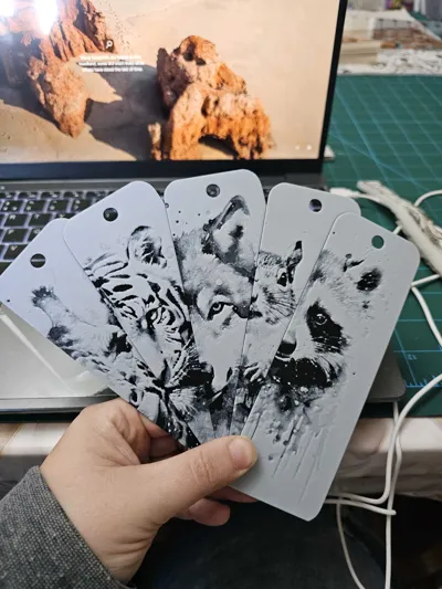 https://makerworld.bblmw.com/makerworld/model/1566154/1646512/ratings/2a907c00-c6ce-11f0-86ef-c3064b07ae16.jpg