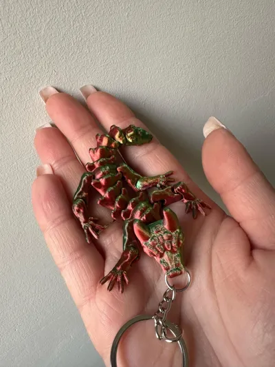 https://makerworld.bblmw.com/makerworld/model/156775/645598/ratings/a3d425c0-4a1a-11f0-85c1-b394995f8bc5.jpg