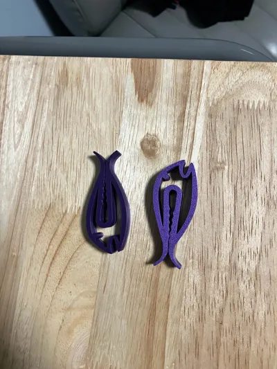 https://makerworld.bblmw.com/makerworld/model/1568003/1648599/ratings/229df3d0-d739-11f0-b08c-73c79e502d41.jpg