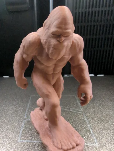 https://makerworld.bblmw.com/makerworld/model/1569727/1650771/ratings/1a8a9530-d203-11f0-b14b-43ffa473b07b.jpg