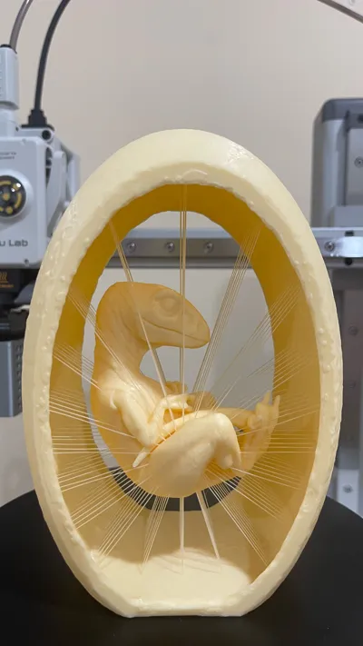 https://makerworld.bblmw.com/makerworld/model/157014/172135/ratings/b0b601e0-3a53-11f0-88ad-2ba62225f919.jpg