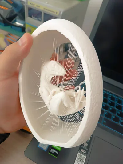 https://makerworld.bblmw.com/makerworld/model/157014/612592/ratings/ca620870-97c1-11f0-9c3b-313a7ed3ce28.jpg