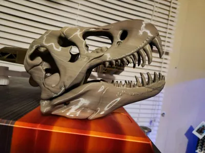 https://makerworld.bblmw.com/makerworld/model/1570707/1651939/ratings/3d02c0e0-762a-11f0-b626-ff5f131354b6.jpg