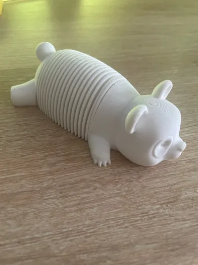 https://makerworld.bblmw.com/makerworld/model/1571270/1652608/ratings/da4302d0-81af-11f0-857b-f3043ce1db74.jpg