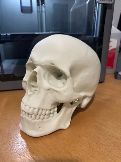 https://makerworld.bblmw.com/makerworld/model/157167/172300/ratings/0c4b5d50-0d4b-11f1-aa00-1feb532b79ff.jpg