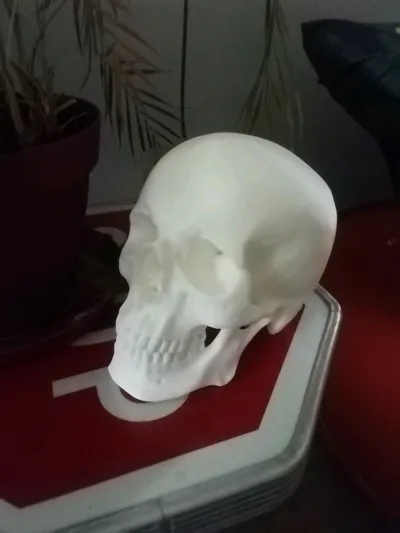 https://makerworld.bblmw.com/makerworld/model/157167/172300/ratings/9b0d1b50-e294-11f0-8e7e-31bab6d28c8a.jpg