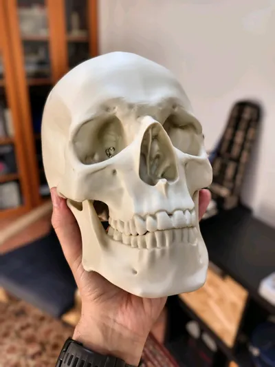 https://makerworld.bblmw.com/makerworld/model/157167/172300/ratings/d30f9bf0-0ef4-11f0-baf1-557e89a47f86.jpg