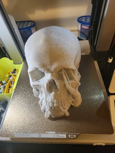 https://makerworld.bblmw.com/makerworld/model/157167/172300/ratings/ef1aec20-d977-11f0-8941-bdf3870666eb.jpg