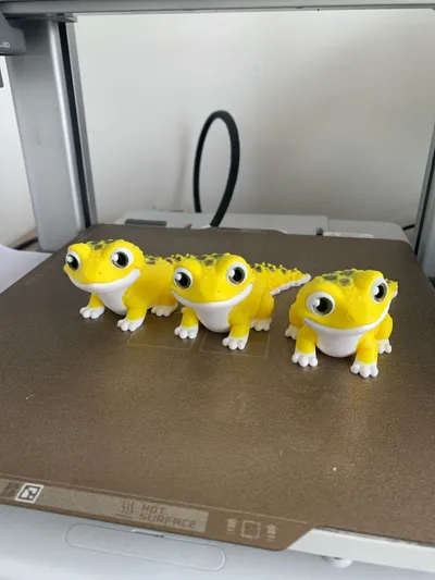 https://makerworld.bblmw.com/makerworld/model/1572044/1653511/ratings/f67be5c0-5a4a-11f0-bc64-4137800c494e.jpg
