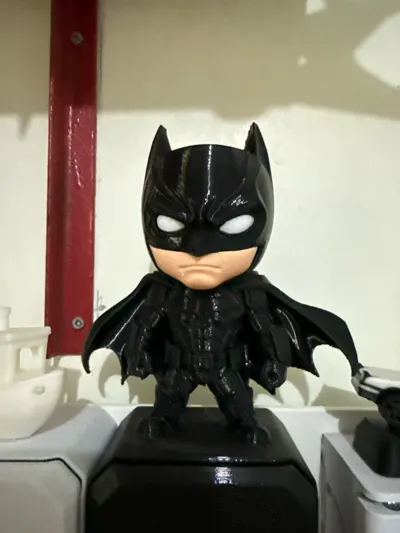 https://makerworld.bblmw.com/makerworld/model/1572695/1654315/ratings/8c4d32b0-f835-11f0-a03c-9d9e8d450393.jpg