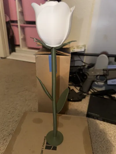 https://makerworld.bblmw.com/makerworld/model/157402/172731/ratings/b5974520-2487-11f0-a8e5-83957568bb7b.jpg