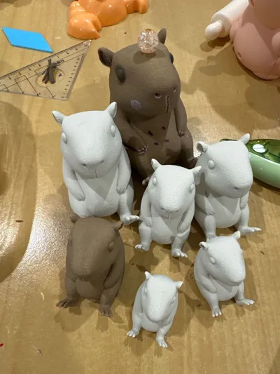 https://makerworld.bblmw.com/makerworld/model/1574375/1656216/ratings/bcad4d70-66c5-11f0-8b45-b57483924ff9.jpg