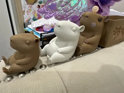 https://makerworld.bblmw.com/makerworld/model/1574375/1656216/ratings/f67f0980-66c0-11f0-8b45-b57483924ff9.jpg