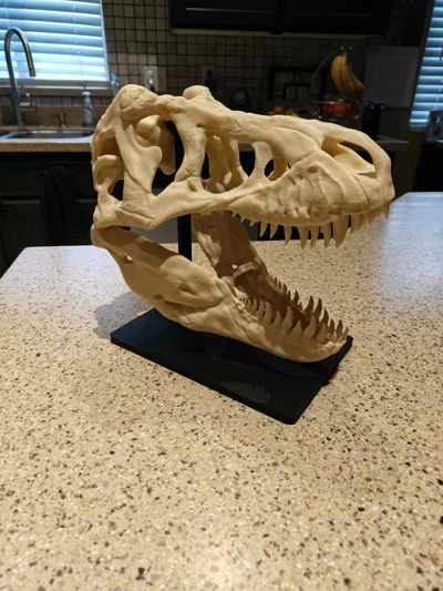 https://makerworld.bblmw.com/makerworld/model/1574413/1656579/ratings/6a86e390-e0db-11f0-bd74-535785c6bb40.jpg