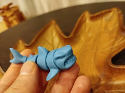 https://makerworld.bblmw.com/makerworld/model/1574420/1656281/ratings/ace45740-d460-11f0-8b4a-0d35a66ca5b0.jpg