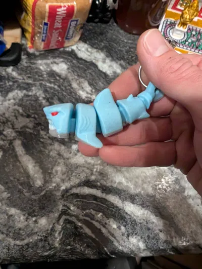 https://makerworld.bblmw.com/makerworld/model/1574420/1656283/ratings/96e0a990-d5b8-11f0-8ff0-4d9ad71931fc.jpg