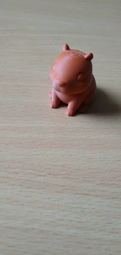 https://makerworld.bblmw.com/makerworld/model/1574973/1656943/ratings/e2f786e0-8b2c-11f0-9b9c-6f37049bb8af.jpg