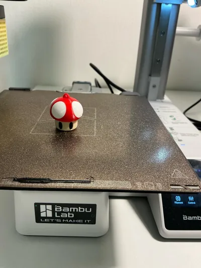 https://makerworld.bblmw.com/makerworld/model/1575920/1658006/ratings/e66cba30-8199-11f0-90e9-7bc35b3eca32.jpg
