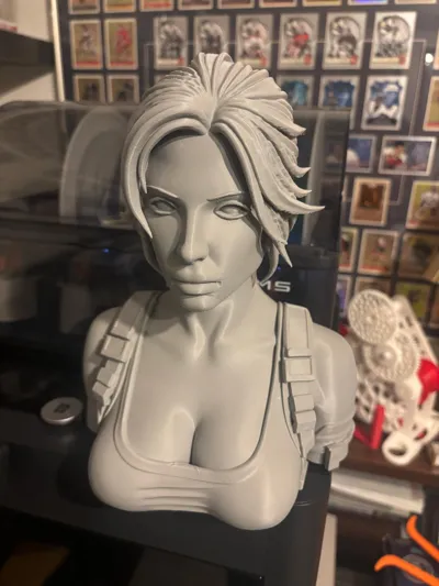 https://makerworld.bblmw.com/makerworld/model/1576269/1658420/ratings/5e55a9e0-fa52-11f0-a992-2739f894821f.jpg