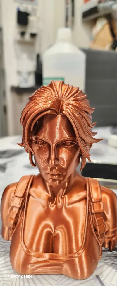 https://makerworld.bblmw.com/makerworld/model/1576269/1658420/ratings/a67f5ea0-bd94-11f0-aee8-c79b8ea8d1d6.jpg