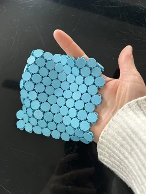 https://makerworld.bblmw.com/makerworld/model/157839/378949/ratings/8c2d3bc0-05cb-11f0-812d-774b92a186da.jpg