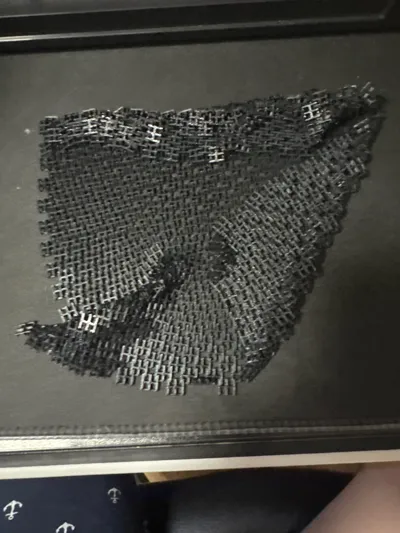 https://makerworld.bblmw.com/makerworld/model/1579354/1661959/ratings/518dd0d0-8ec7-11f0-afe5-25f75f1cd08b.jpg