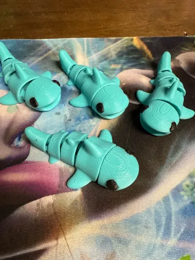 https://makerworld.bblmw.com/makerworld/model/1579523/1662160/ratings/073965c0-ab79-11f0-8112-f54e93f0a69f.jpg