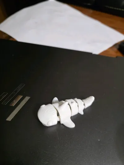 https://makerworld.bblmw.com/makerworld/model/1579523/1662160/ratings/af2d6020-5bff-11f0-83bb-895888b8e129.jpg