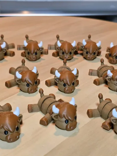 https://makerworld.bblmw.com/makerworld/model/1579745/1662378/ratings/56356a60-bdef-11f0-a38c-e1b4385a09aa.jpg