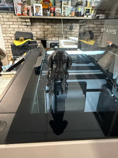 https://makerworld.bblmw.com/makerworld/model/1584568/1668100/ratings/25fd0bc0-ee8f-11f0-aeaf-09a9cf4f2f20.jpg