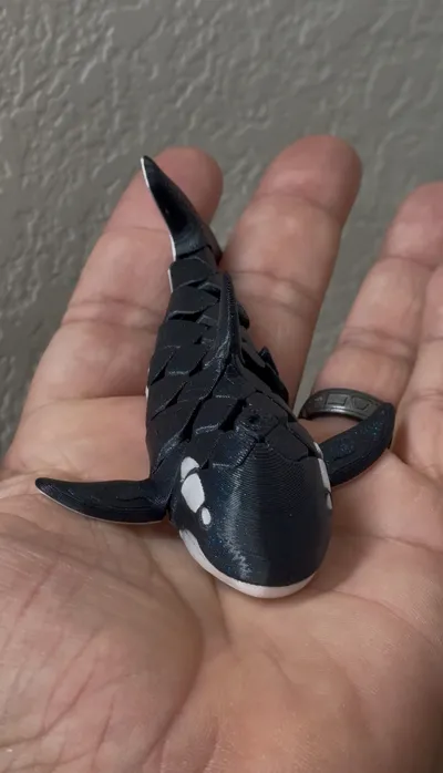 https://makerworld.bblmw.com/makerworld/model/1584583/1668121/ratings/31105cf0-8635-11f0-9cbf-79d3a8844782.jpg