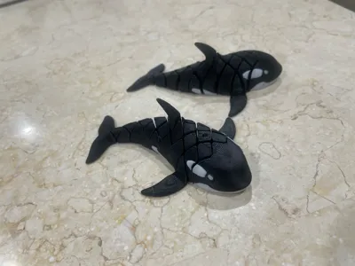 https://makerworld.bblmw.com/makerworld/model/1584583/1668121/ratings/7bf22770-6e03-11f0-af25-911f1d7a20c6.jpg