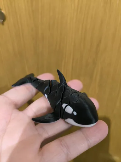 https://makerworld.bblmw.com/makerworld/model/1584583/1668127/ratings/575f7770-71bc-11f0-a2b0-51fae6fa2706.jpg