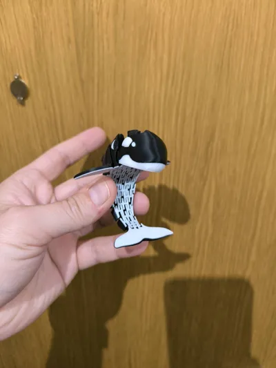 https://makerworld.bblmw.com/makerworld/model/1584583/1668127/ratings/5760d700-71bc-11f0-a2b0-51fae6fa2706.jpg