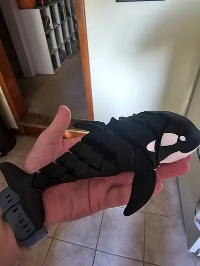 https://makerworld.bblmw.com/makerworld/model/1584583/1668127/ratings/5f35a550-66f4-11f0-ac23-e54c5a2bfdfb.jpg