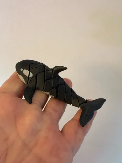 https://makerworld.bblmw.com/makerworld/model/1584583/1668127/ratings/8a7b7980-bbe8-11f0-9994-a77f7f0d0596.jpg