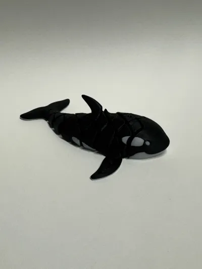 https://makerworld.bblmw.com/makerworld/model/1584583/1670769/ratings/3a240b80-82ce-11f0-a95e-b14c920606f3.jpg