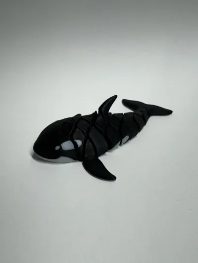 https://makerworld.bblmw.com/makerworld/model/1584583/1670769/ratings/3a243290-82ce-11f0-a95e-b14c920606f3.jpg