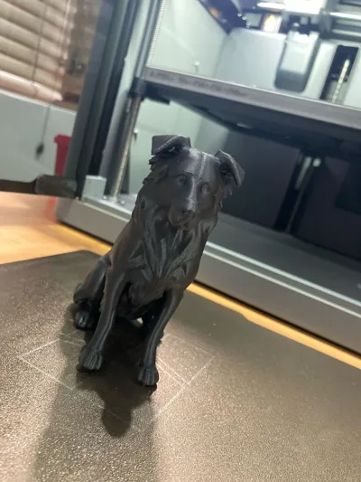 https://makerworld.bblmw.com/makerworld/model/1584645/1668205/ratings/e735ca10-c7b7-11f0-a031-c16d95fcc7e6.jpg